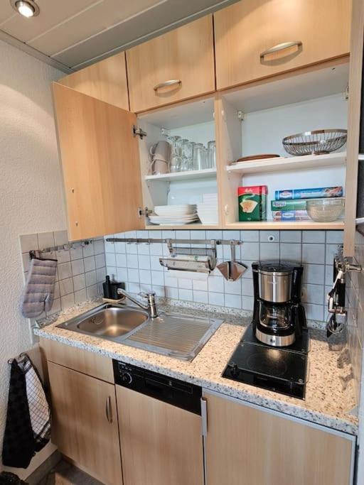 A&E Apartment Am Sorpesee Langscheid  المظهر الخارجي الصورة